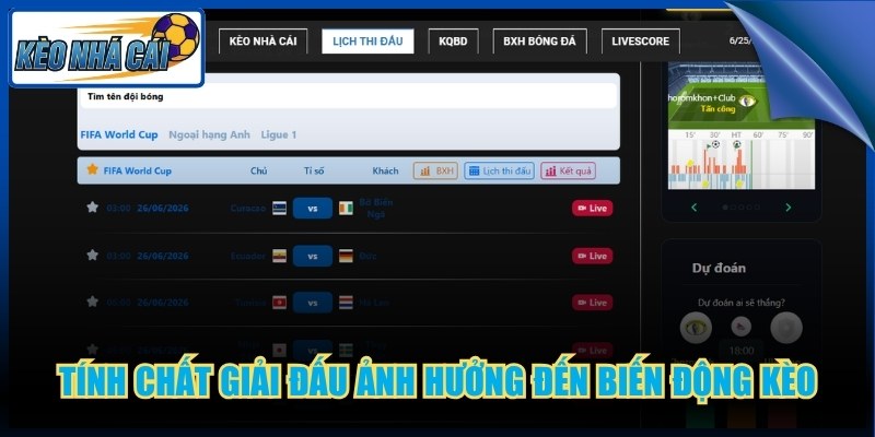 Kèo Nhà Cái 🎖️ Tỷ Lệ Keo Nha Cai 5 | Cập Nhật Mỗi Ngày 4 Tính chất giải đấu ảnh hưởng đến biến động kèo